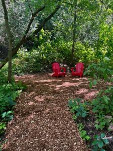 Giardino di Boho Loft in Downtown Wakefield