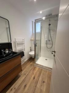 a bathroom with a shower and a sink and a toilet at L'Escapade Médiévale Appartement neuf in Josselin