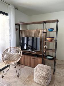 Una sala de estar con un televisor y una silla. en Vie Ventoux A6, en Malaucène