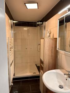 a bathroom with a shower and a sink at Schönes Zimmer im Zentrum - 3 in Paderborn