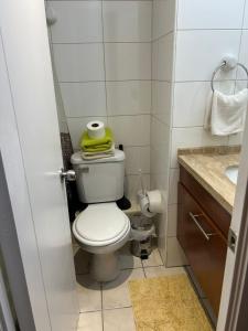 a small bathroom with a toilet and a sink at Departamentos Santiago Centro Catedral #206 in Santiago