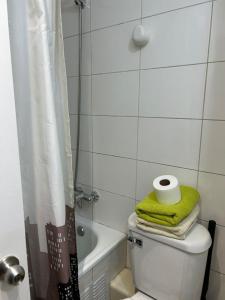 a bathroom with a toilet and a green towel at Departamentos Santiago Centro Catedral #206 in Santiago