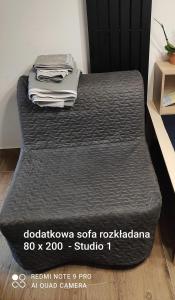 Część wypoczynkowa w obiekcie Urocze studia w Łomiankach, 1- z sauną i tarasem, 2- z kominkiem, 3- ekonomiczne, 7km metro Młociny Warszawa