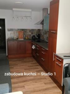 Kuchnia lub aneks kuchenny w obiekcie Urocze studia w Łomiankach, 1- z sauną i tarasem, 2- z kominkiem, 3- ekonomiczne, 7km metro Młociny Warszawa