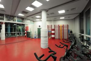 Fitness centrum a/nebo fitness zařízení v ubytování Stella Residence Club