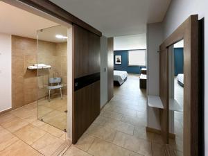 Koupelna v ubytování Holiday Inn Express Mérida by IHG