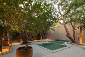 Бассейн в Welcome to Paradise - Luxurious Studio Oasis "Artemisa" with Pool and Lush Tropical Gardens или поблизости