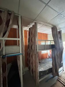 ein Zimmer mit zwei Etagenbetten und einem Fenster in der Unterkunft Pakchong hostel & wildlife tour in Pak Chong