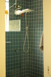 y baño con ducha de azulejos verdes y cabezal de ducha. en Loft com piscina natural em Cachoeiras de Macacu, en Cachoeiras de Macacu 39 fotos más