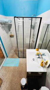 a bathroom with a shower and a white sink at La Villa Louisia in Matoury