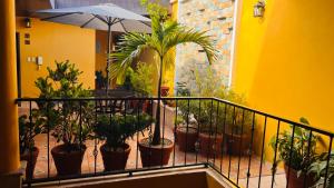 Κήπος έξω από το Casa Alegria