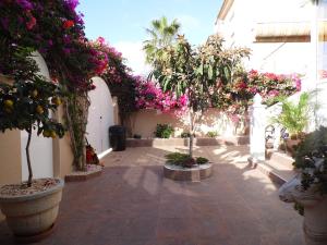 a courtyard with trees and flowers in a building at Villa La Zenia, Private pool, 10min walk to La Zenia Beach, for 6 people in Playas de Orihuela
