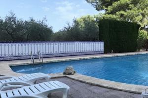a swimming pool with chairs and a cat sitting next to it at Villa Rural El doncel in Hellín