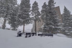 a group of benches in the snow in front of a building at CM217 Copper Mountain Inn Hotel Room condo in Copper Mountain