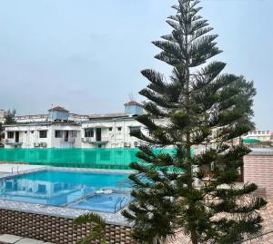 a pine tree next to a swimming pool at Sunview Resort in Mandarmoni