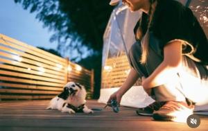a woman sitting next to a dog with a toy at ODEON Gongen松山市一組限定貸切グランピング in Horiechō +3 photos