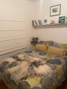 a bedroom with a couch and a rug on the floor at Redruth,original 1940 Falmouth shack in Falmouth