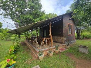 Zahrada ubytování Ceylon wilpattu safaris & lodging