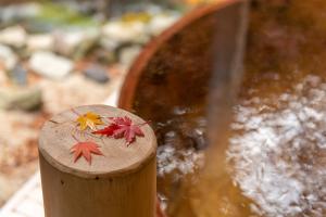 Fotografie z fotogalerie ubytování Shionoyu Onsen Rengetsu v destinaci Nasushiobara