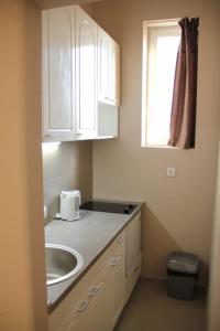 Η κουζίνα ή μικρή κουζίνα στο Downtown Skadarlija