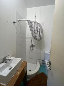 a white bathroom with a sink and a toilet at Hotel Nativo in Santiago