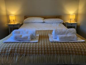 een slaapkamer met twee bedden met handdoeken erop bij Trigonos - Peaceful Lakeside Vegetarian B&B and Retreat in Eryri National Park in Caernarfon