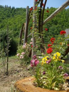 A garden outside Agriturismo Podere Fiume