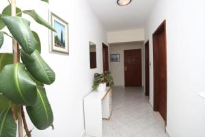 Fotografia z galérie ubytovania Apartment Mare v Trogiri
