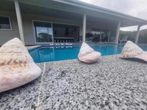 Te Aro Villa in Muri 1 &2内部或周边的泳池