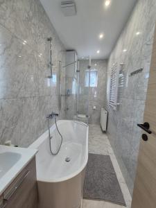 a bathroom with a tub and a shower and a sink at Modern apartment near Avenue Louise in Brussels