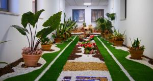 米多恩Hotel Djerba Inn的相册照片