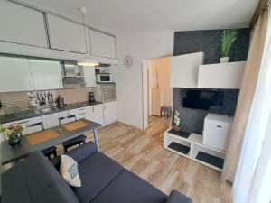 kuchnia i salon z kanapą i telewizorem w obiekcie Sweet Home Lustig w Puli