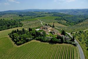 Montefiridolfi的住宿－Il Torriano，葡萄园内房屋的空中景观