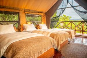 a room with four beds in a room with a window at Rhotia Valley Tented camp in Karatu