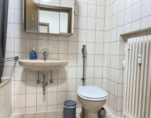 a bathroom with a toilet and a sink at SAD161 - Gut geschnittene Monteurwohnung mit Balkon in Schwandorf in Bayern