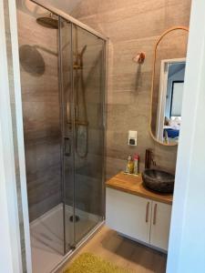 a bathroom with a shower with a sink and a mirror at Tiny Haus im Quittengarten in Distelhausen