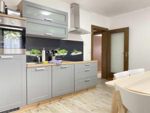 eine Küche mit grauen Schränken und einer Theke mit Pflanzen in der Unterkunft SAD200 - Komfortable Monteurwohnungen in Schwandorf in Schwandorf in Bayern