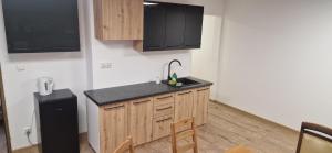 Kuchyň nebo kuchyňský kout v ubytování Apartamenty Stadion & Park blisko Centrum Chorzowa