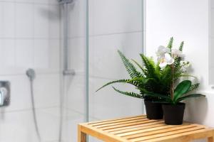 Koupelna v ubytování Wohnung 4 Rosenstraße