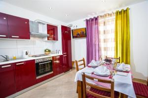 Kuchyňa alebo kuchynka v ubytovaní Apartment Rilka + 15 fotografií