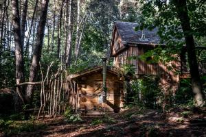 a log cabin in the woods with trees at Tjiftjaf in Retie