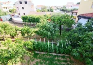 Vonkajšia záhrada v ubytovaní Apartments Snjeza