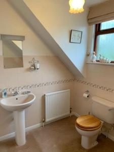 a bathroom with a sink and a toilet and a mirror at Church View, Poltimore Village - near Exeter in Exeter +23 photos