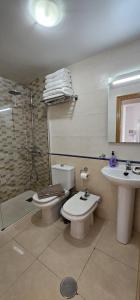Un baño con inodoro, lavabo y ducha. en Edifico Orbiplaya, en Torrevieja