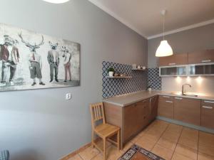 Η κουζίνα ή μικρή κουζίνα στο KGHN Apartments Tkacka