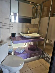 a bathroom with a sink and a toilet at Le Berthoir in Pélussin +37 photos