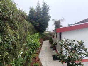 Giardino di Trilan Cottages - Donnington Road