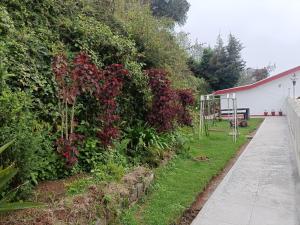 Giardino di Trilan Cottages - Donnington Road