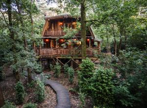 a tree house in the middle of the forest at Buizerd in Retie