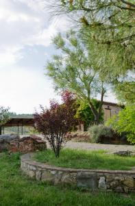 Zahrada ubytování Locazione turistica ex Le Casette Di Cedromonte